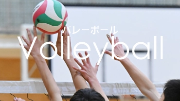 バレーボール