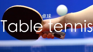卓球