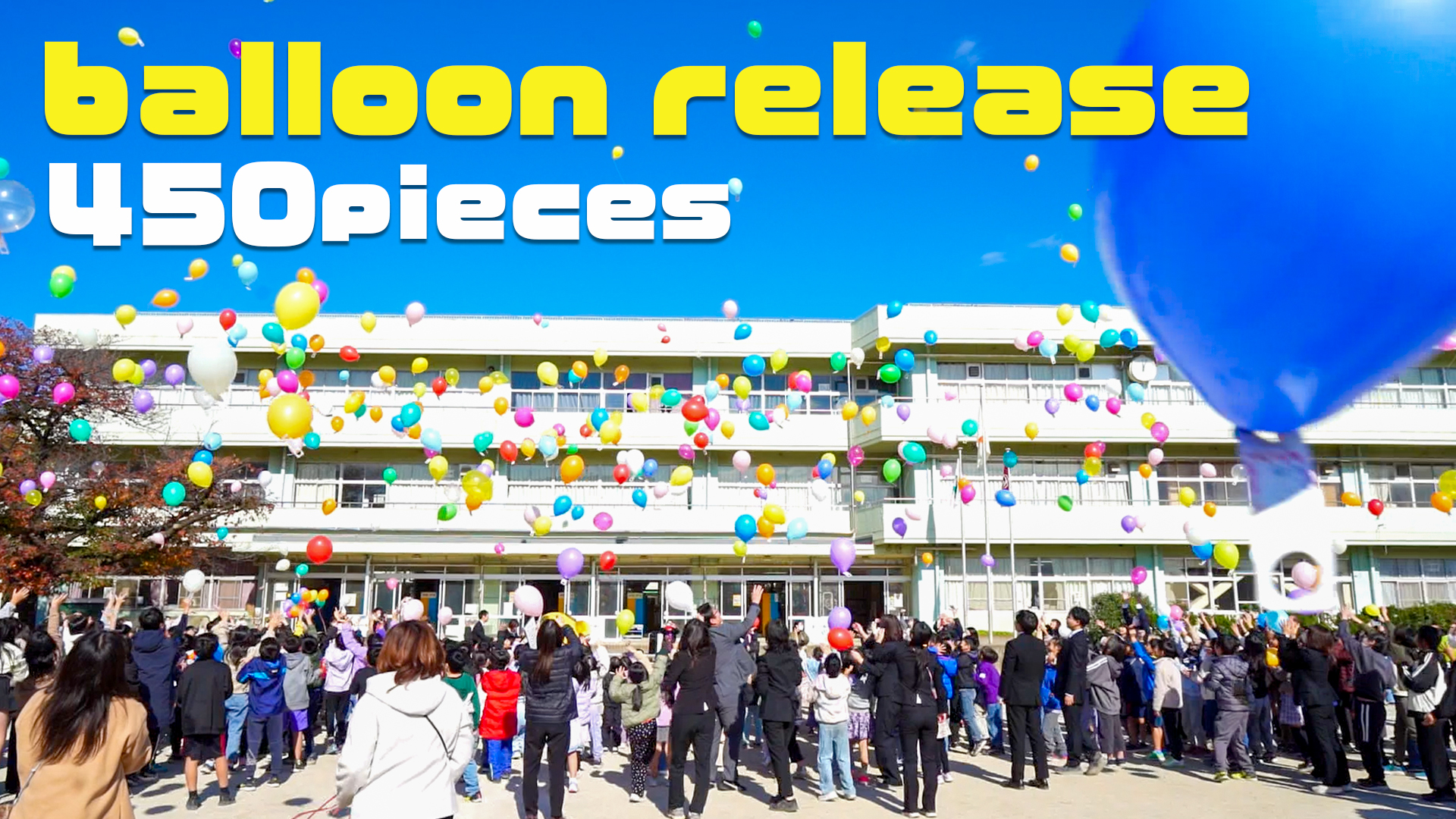 学校周年イベント バルーンリリース 50周年記念のサムネイル